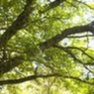 Meet your Posher, Jess